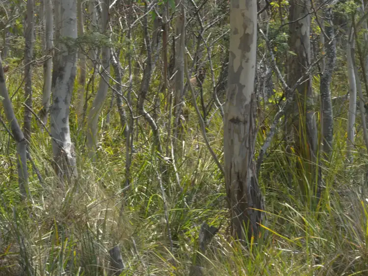 Fourth view of Homely land listing, 16-18 Lake View Road, Lake Leake TAS 7210