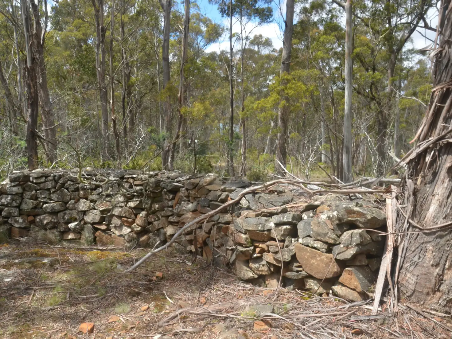 Main view of Homely land listing, 32 Little Spit Road, Lake Leake TAS 7210