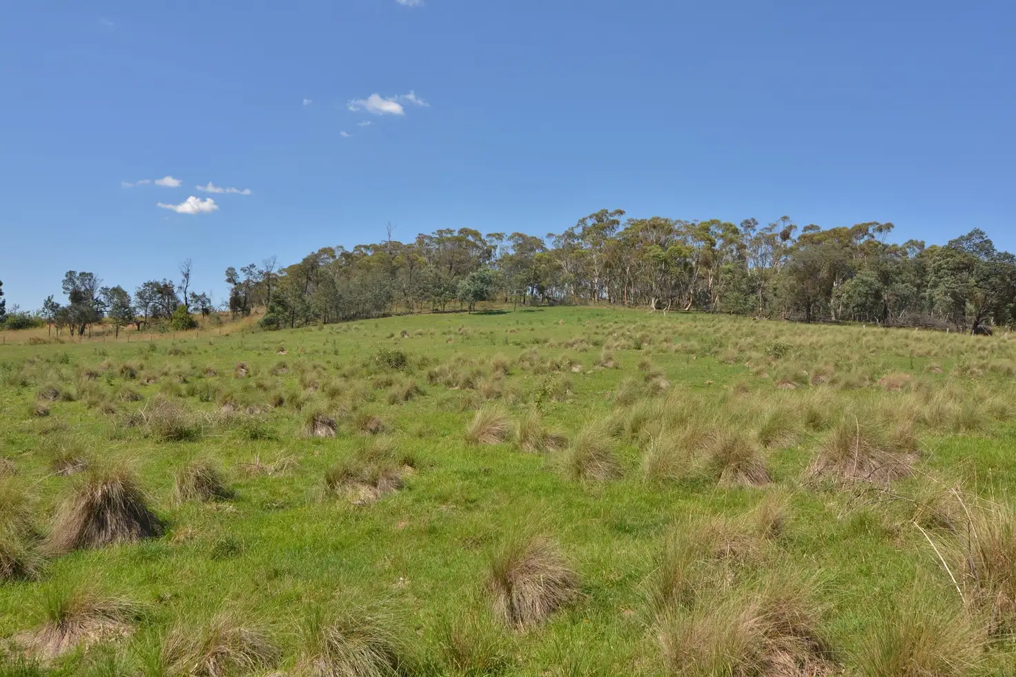 Main view of Homely land listing, Lot 1/ Great Western Highway, Meadow Flat NSW 2795