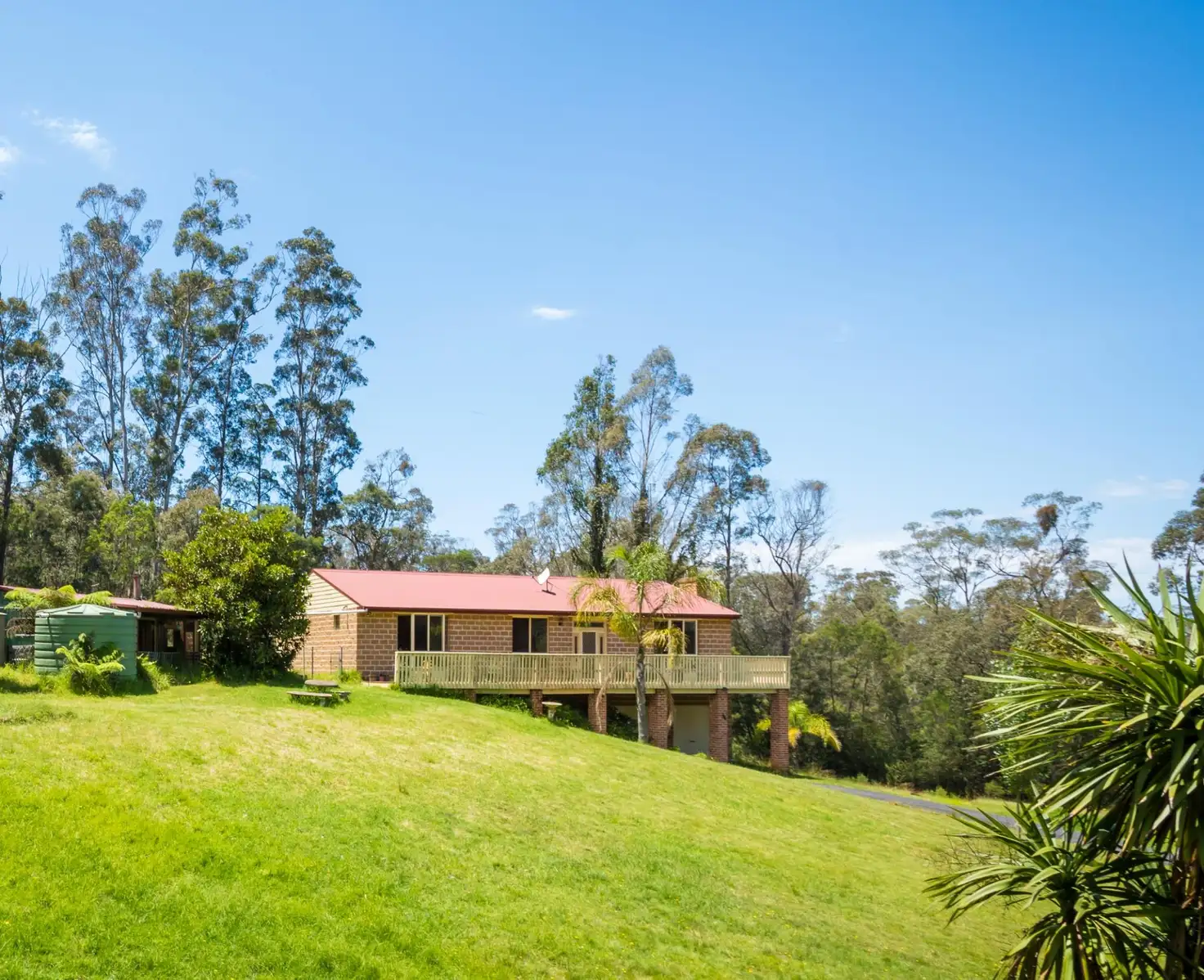 Main view of Homely rural property listing, 237 Reedy Swamp Road, Tarraganda NSW 2550