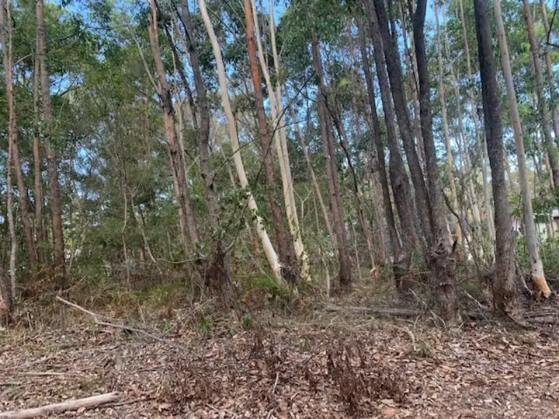Main view of Homely land listing, 18 Stuart Street, Russell Island QLD 4184