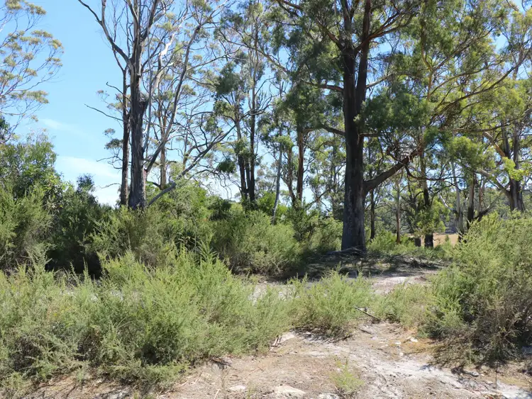 Fourth view of Homely land listing, 205 Binalong Bay Road, St Helens TAS 7216