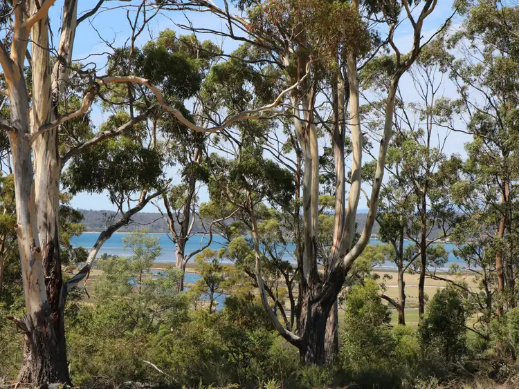 Fifth view of Homely land listing, 205 Binalong Bay Road, St Helens TAS 7216