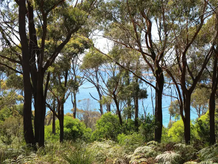 Fourth view of Homely house listing, 298 Gardens Road, The Gardens TAS 7216