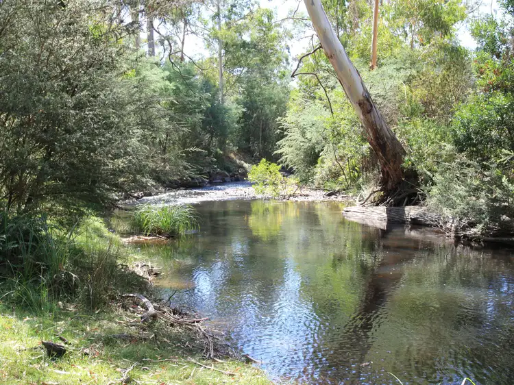 117 Passings Road, Buxton VIC 3711