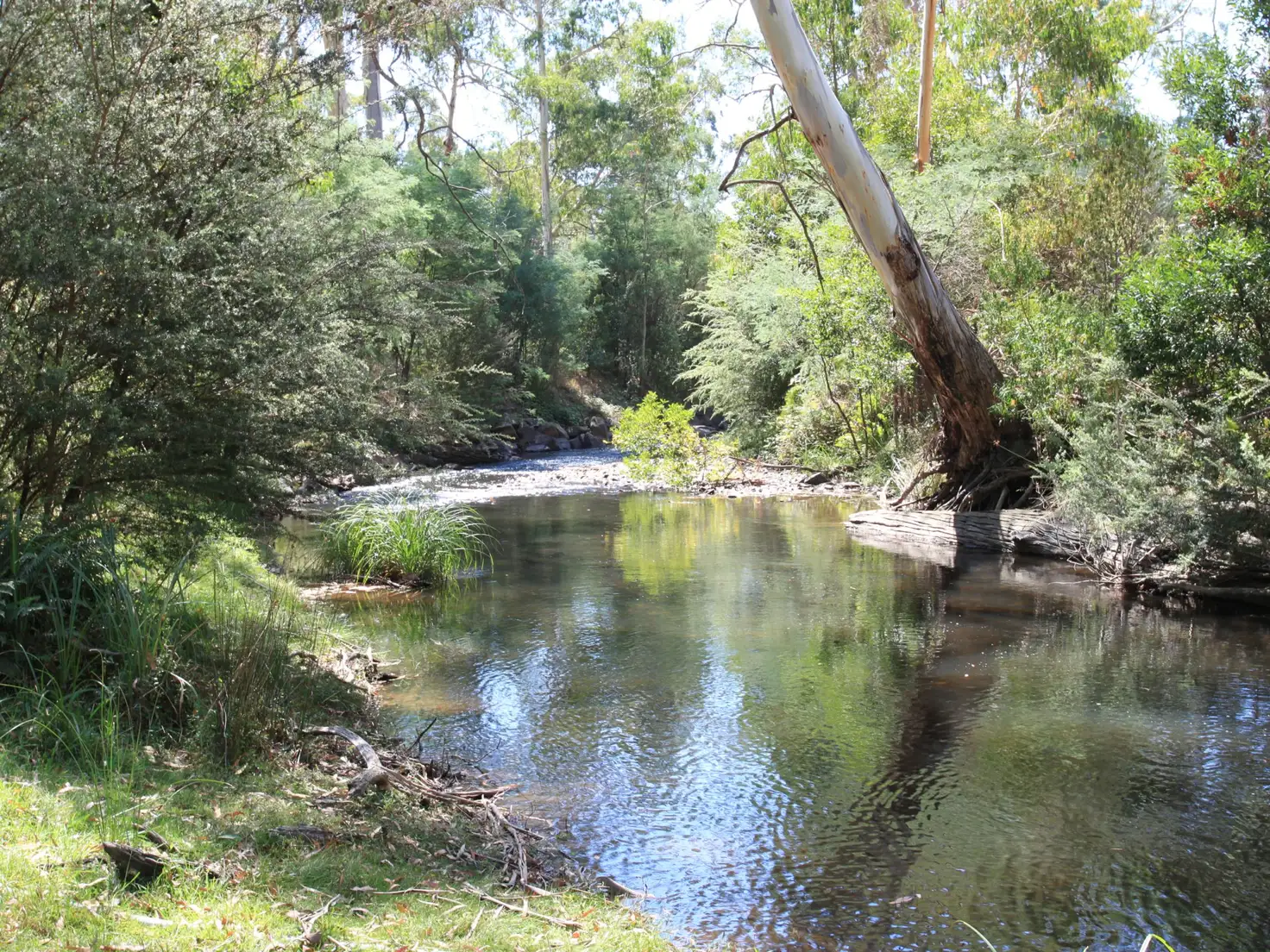Main view of Homely rural property listing, 117 Passings Road, Buxton VIC 3711
