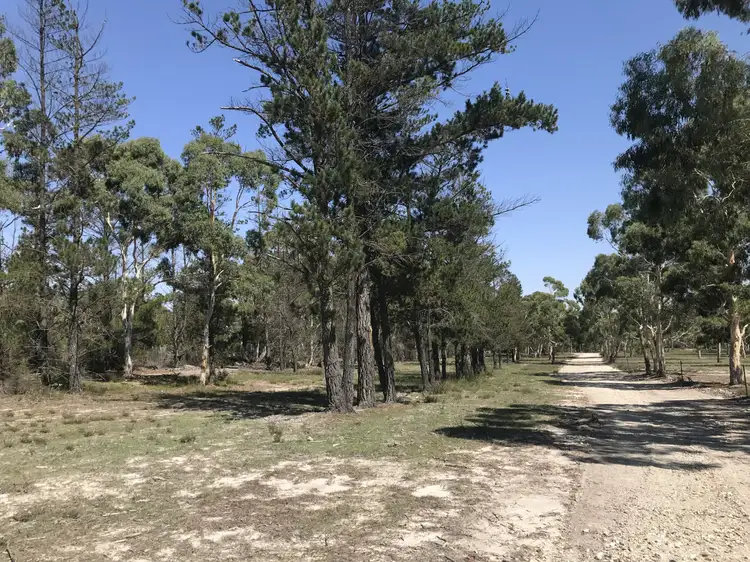 Third view of Homely rural property listing, 135 Parkwood Lane, Windellama NSW 2580