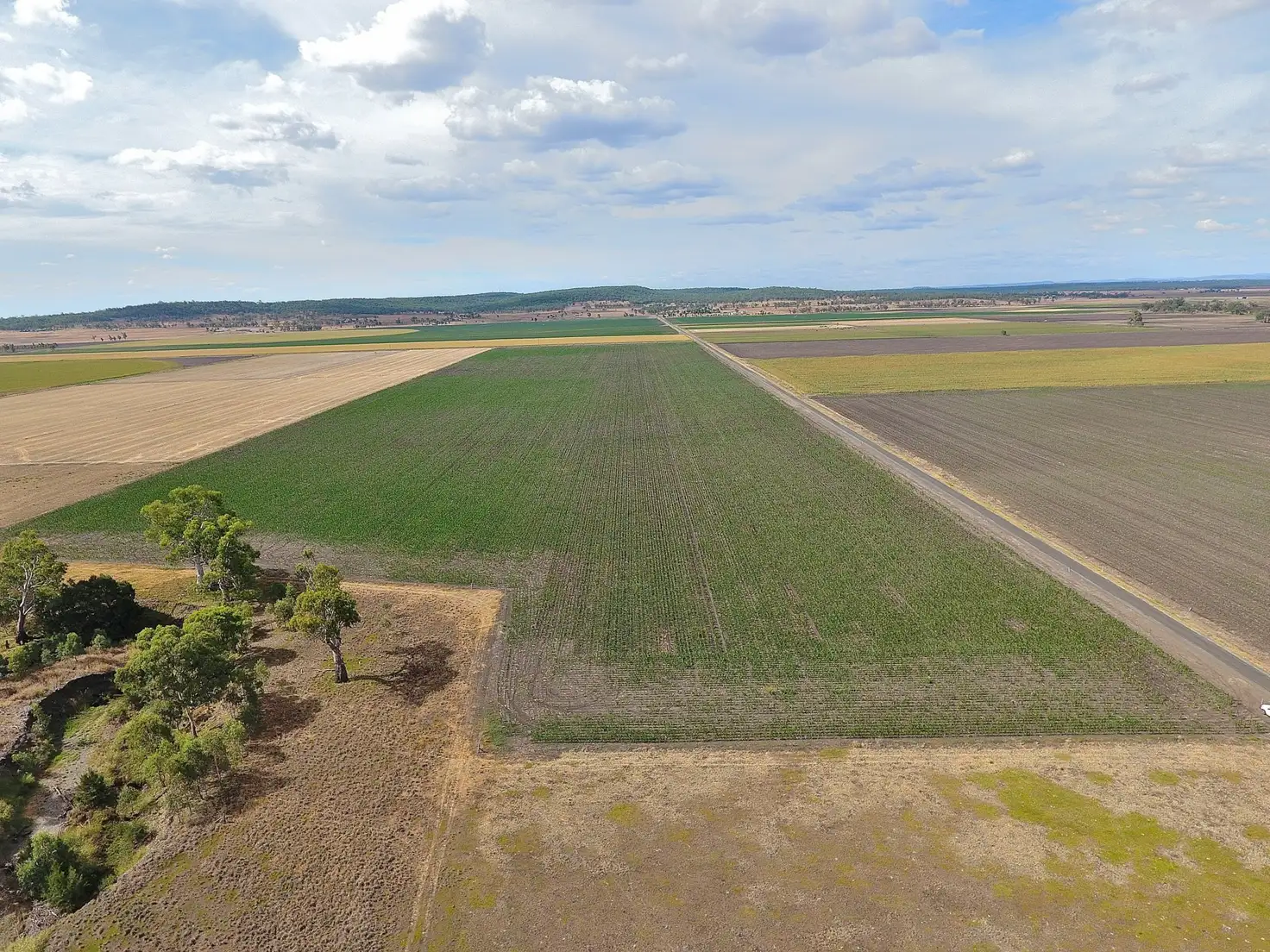 Main view of Homely rural property listing, Lot 2 Wheatvale Plains Road, Wheatvale QLD 4370