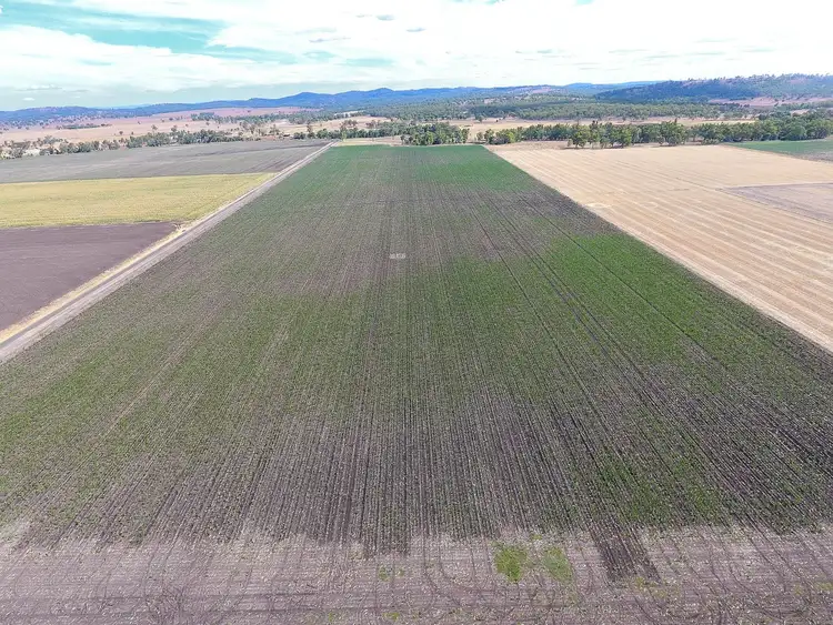 Second view of Homely rural property listing, Lot 2 Wheatvale Plains Road, Wheatvale QLD 4370