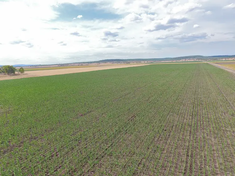 Fourth view of Homely rural property listing, Lot 2 Wheatvale Plains Road, Wheatvale QLD 4370