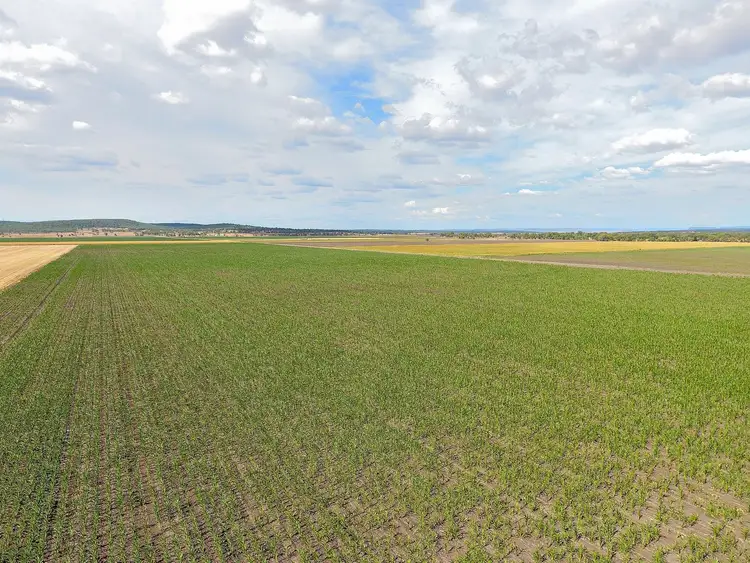 Fifth view of Homely rural property listing, Lot 2 Wheatvale Plains Road, Wheatvale QLD 4370
