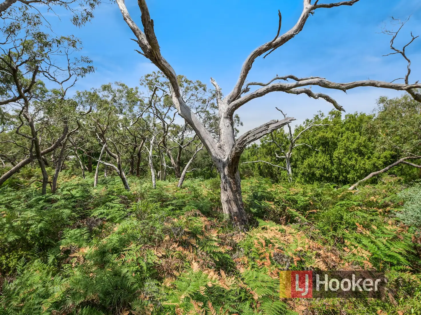 Main view of Homely land listing, 22 Currawong Grove, Cannons Creek VIC 3977