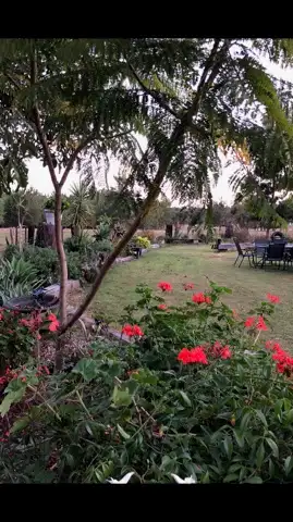 Seventh view of Homely rural property listing, 4525 Bungawalbin-Whiporie Road, Whiporie NSW 2469
