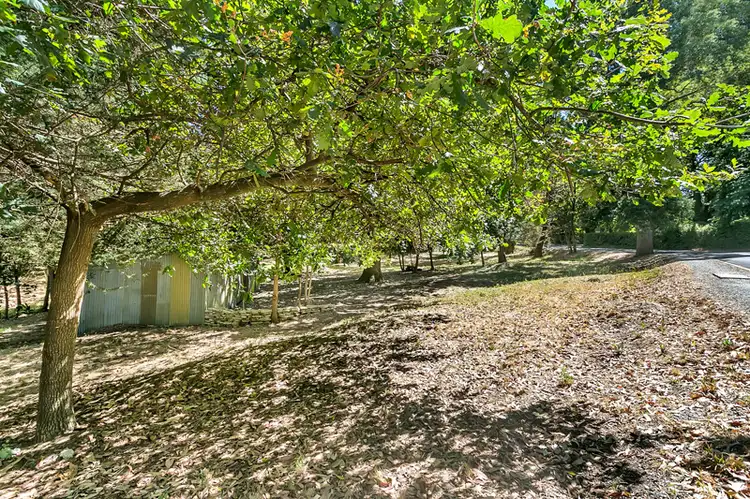 Main view of Homely land listing, 24 Pine Street, Stirling SA 5152