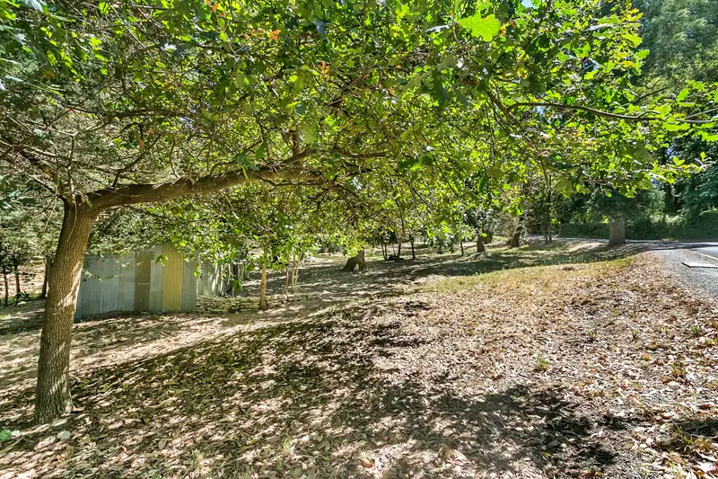 Main view of Homely land listing, 24 Pine Street, Stirling SA 5152
