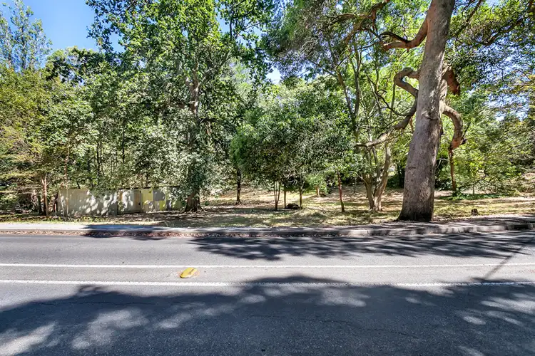 Second view of Homely land listing, 24 Pine Street, Stirling SA 5152