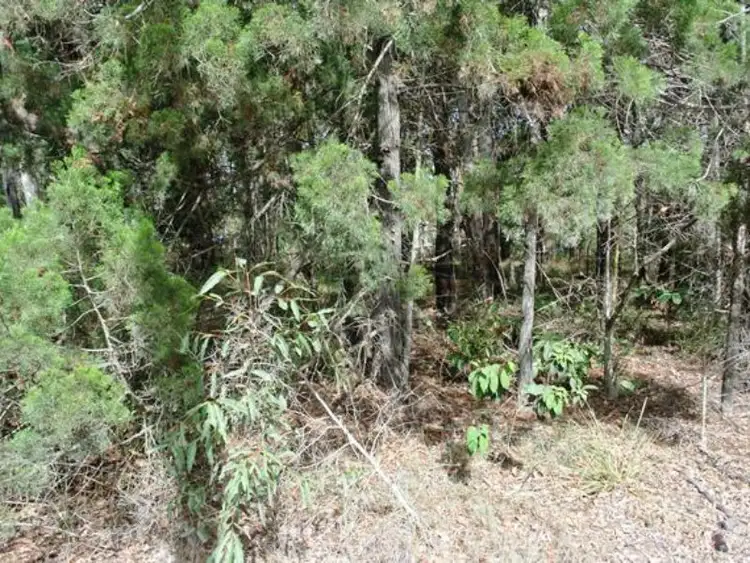 Fifth view of Homely land listing, 10 Piccaninny Street, Macleay Island QLD 4184