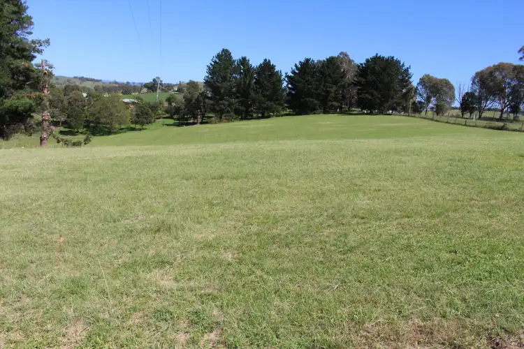 Sixth view of Homely rural property listing, 911 Candelo Wolumla Road, Wolumla NSW 2550