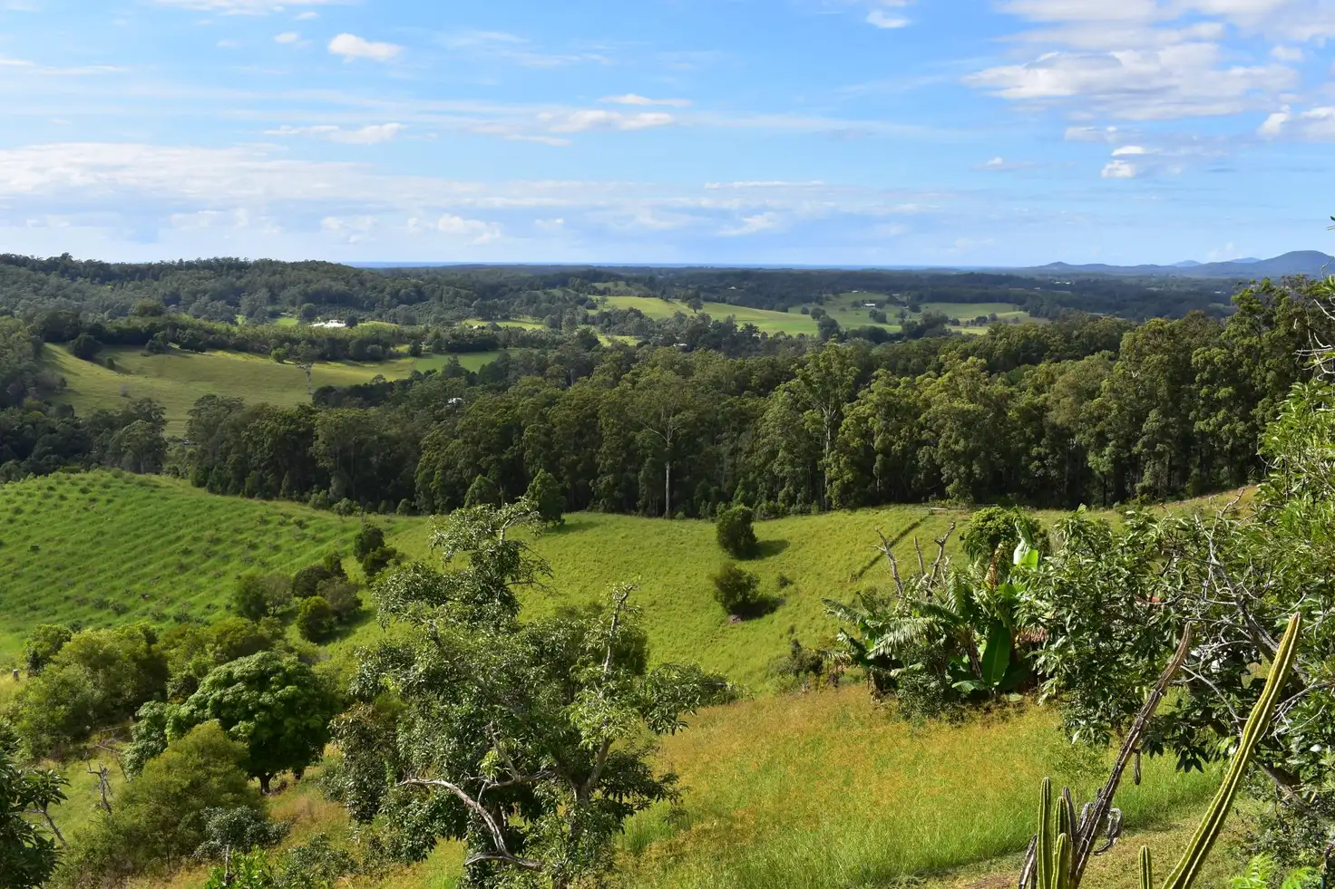 Main view of Homely house listing, 167 Richards Road, Nambucca Heads NSW 2448