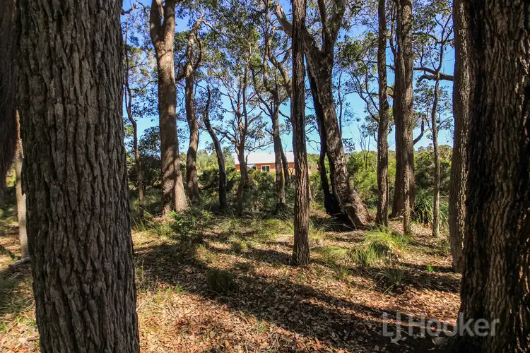 Main view of Homely house listing, 83 Quenda Drive, Northcliffe WA 6262