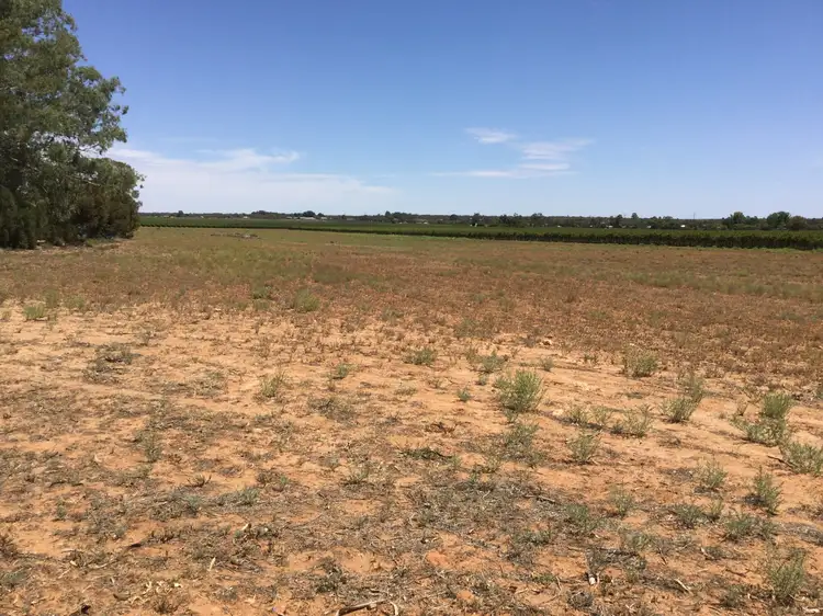 Fifth view of Homely house listing, 469 Jury Road, Monash SA 5342