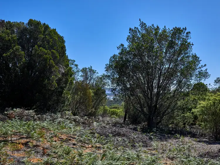 Seventh view of Homely rural property listing, 312 Wallaroo Road, Coles Bay TAS 7215