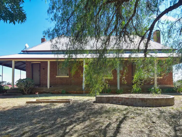 Third view of Homely house listing, 172 Jasprizza Lane, Young NSW 2594