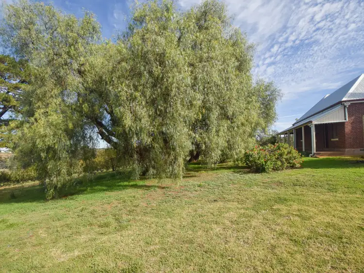 Fourth view of Homely house listing, 172 Jasprizza Lane, Young NSW 2594