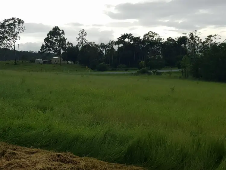 Seventh view of Homely land listing, Lot 1 Euluma Creek Rd, Julatten QLD 4871