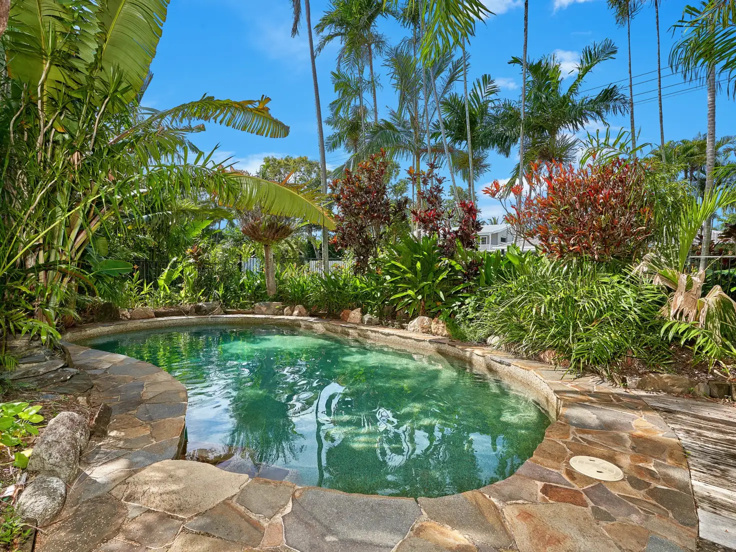 Main view of Homely house listing, 50 Terebra Street, Palm Cove QLD 4879