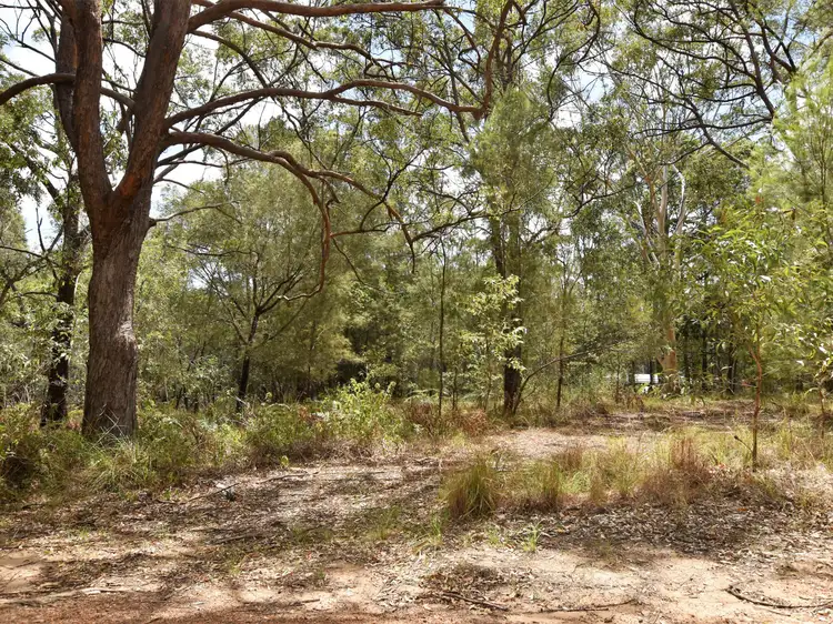 Main view of Homely land listing, 19 Cypress Avenue, Russell Island QLD 4184