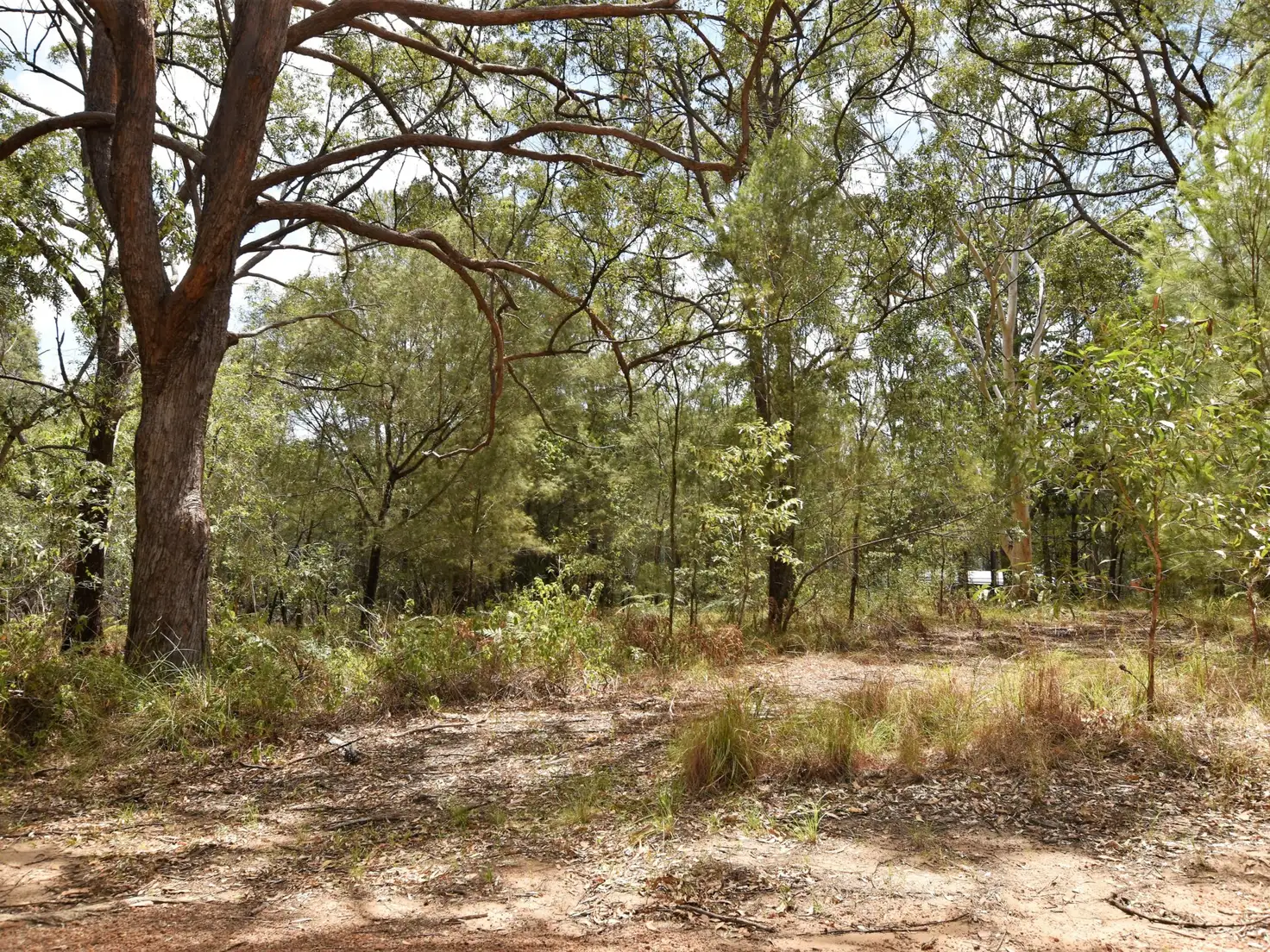 Main view of Homely land listing, 19 Cypress Avenue, Russell Island QLD 4184