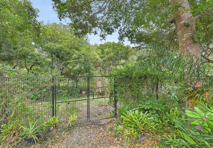 Third view of Homely house listing, 31 Spoonbill Street, Peregian Beach QLD 4573