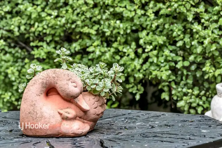 Sixth view of Homely house listing, 16 St Albyns Avenue, Toorak Gardens SA 5065