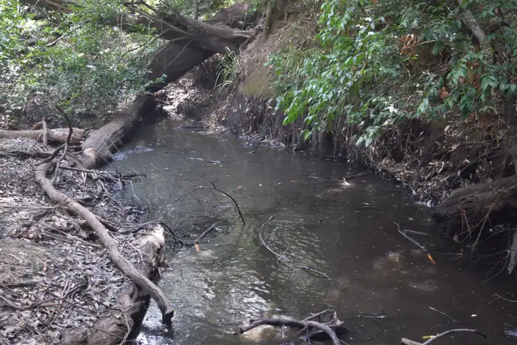 Fourth view of Homely rural property listing, Lot 2 Bungawalbin Whiporie Road, Gibberagee NSW 2469