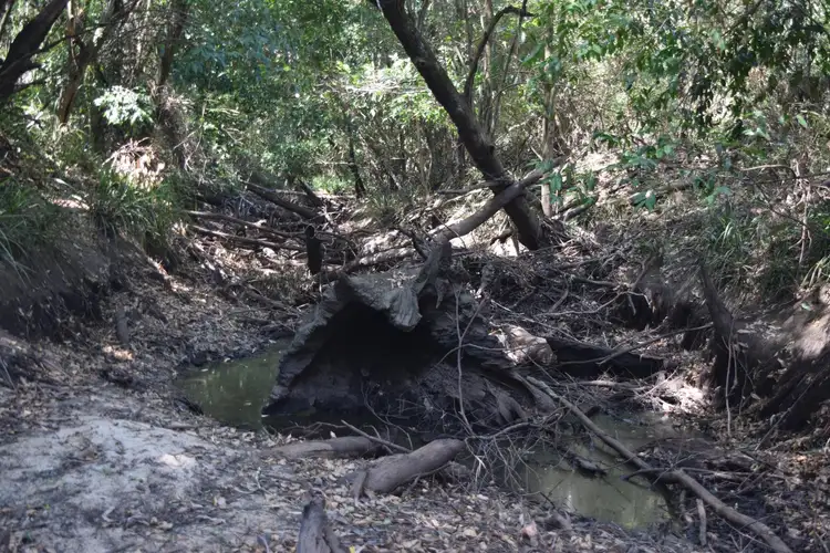 Fifth view of Homely rural property listing, Lot 2 Bungawalbin Whiporie Road, Gibberagee NSW 2469