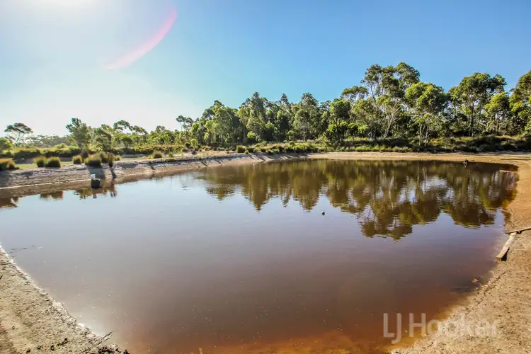 Sixth view of Homely rural property listing, 1058 Richardson Road (Meerup), Northcliffe WA 6262