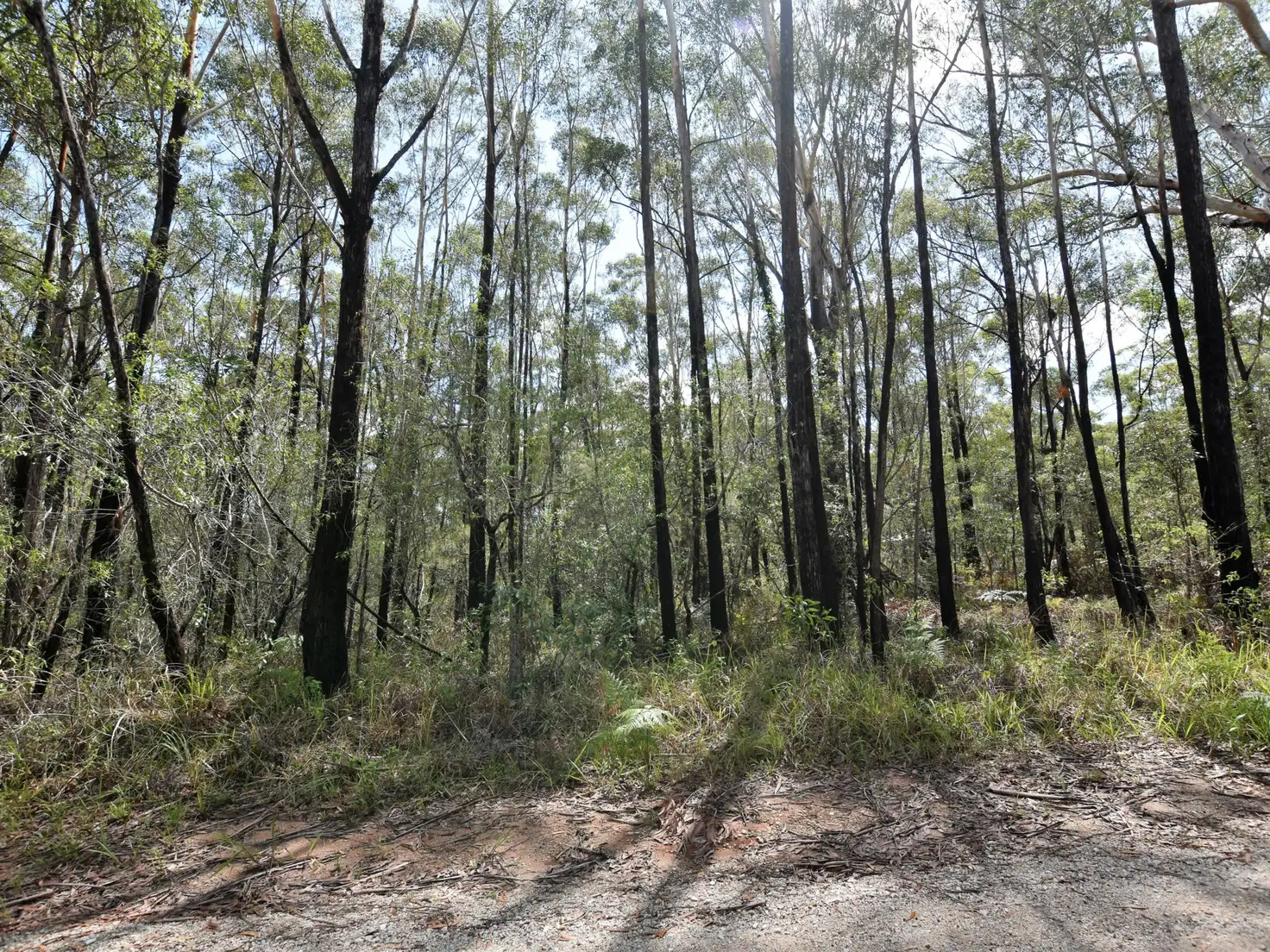 Main view of Homely land listing, 5 Sunhaven, Russell Island QLD 4184