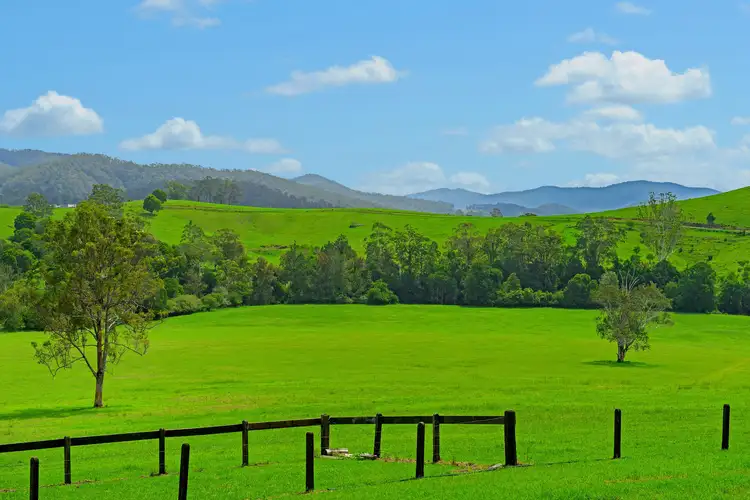 Third view of Homely rural property listing, 1194 Comboyne Road, Byabarra NSW 2446