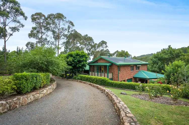 125 Kerrisons Lane, Bega NSW 2550