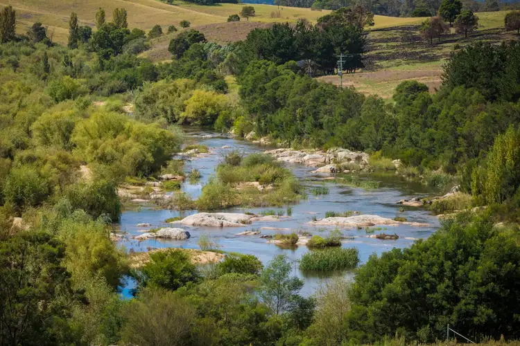 Third view of Homely rural property listing, 690 Candelo Bega Road, Bega NSW 2550