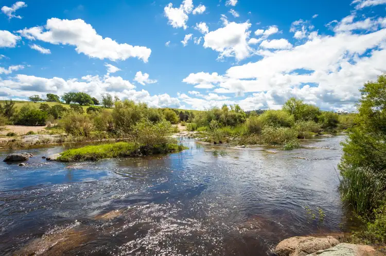 Sixth view of Homely rural property listing, 690 Candelo Bega Road, Bega NSW 2550