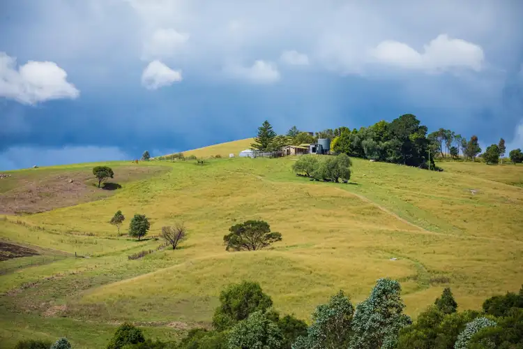Seventh view of Homely rural property listing, 690 Candelo Bega Road, Bega NSW 2550