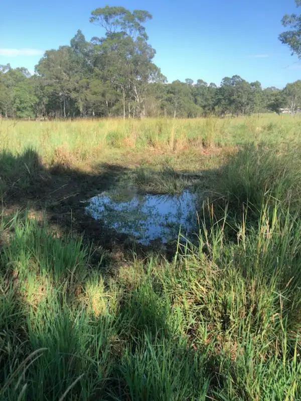 Seventh view of Homely rural property listing, 524 Wingham Road, Taree NSW 2430