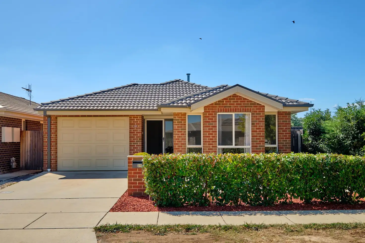 Main view of Homely house listing, 31 Anna Morgan Circuit, Bonner ACT 2914