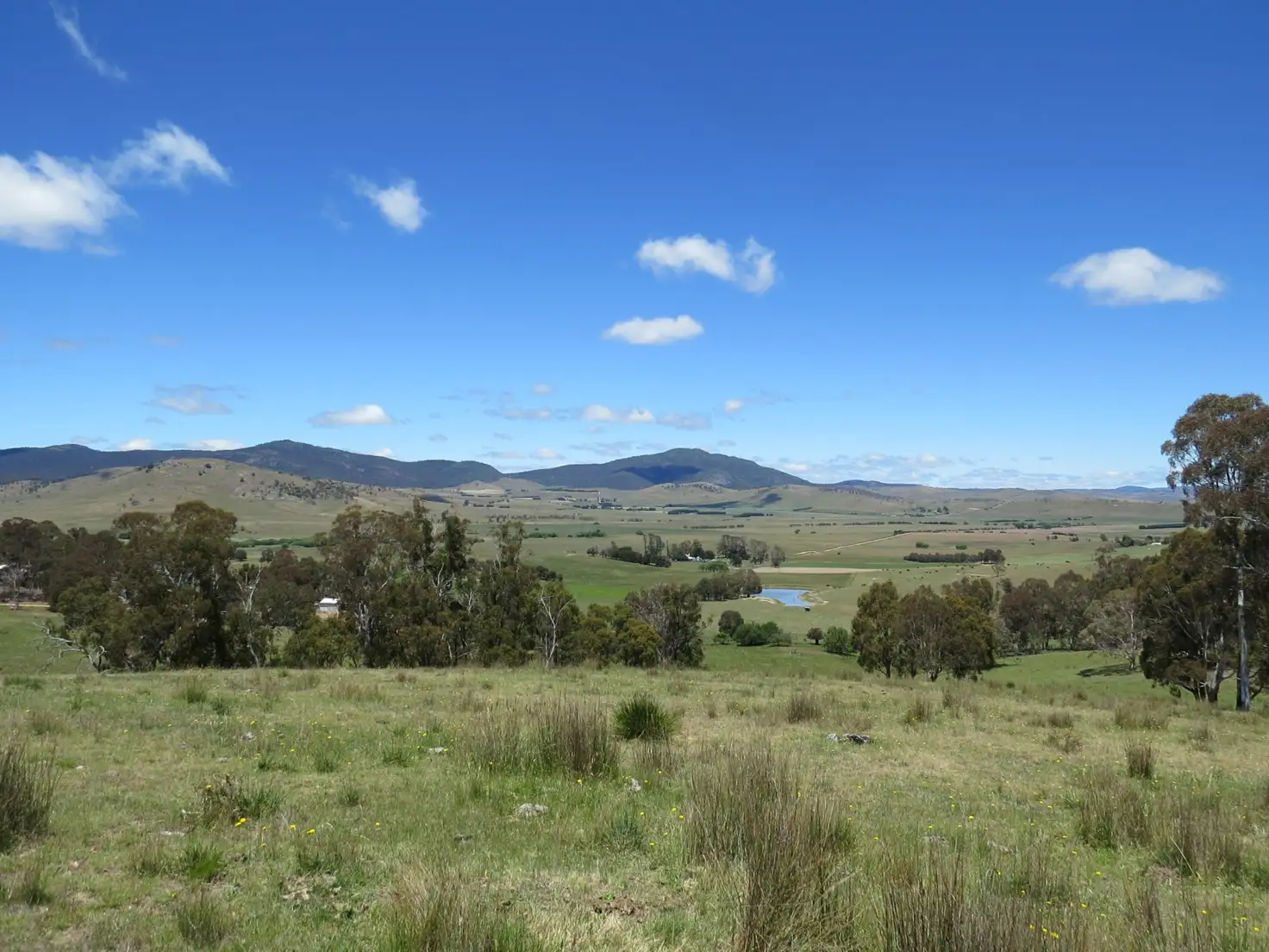 Main view of Homely rural property listing, 155 McKinnons Road, Benambra VIC 3900