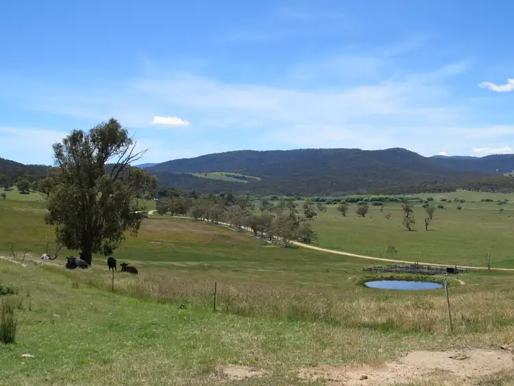 Fourth view of Homely rural property listing, 155 McKinnons Road, Benambra VIC 3900