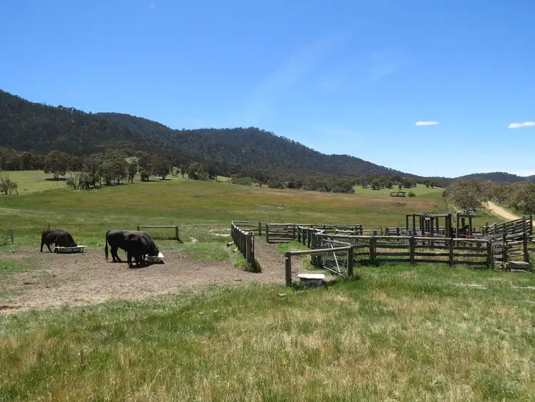 Fifth view of Homely rural property listing, 155 McKinnons Road, Benambra VIC 3900