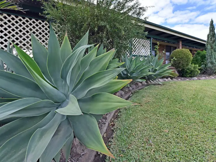Fourth view of Homely house listing, 1 Casey Drive, Singleton NSW 2330