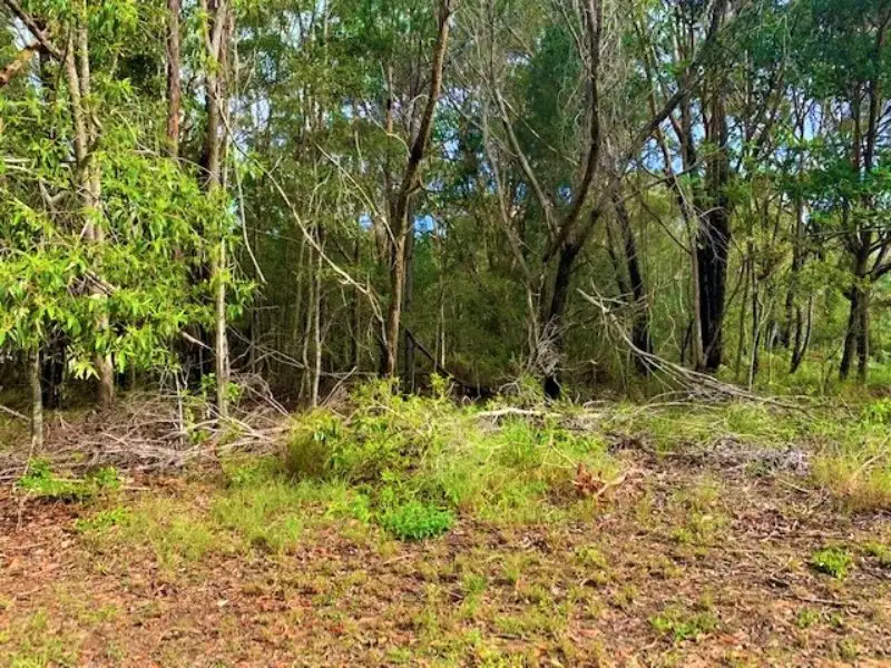 Main view of Homely land listing, 4 Gilcrest Road, Russell Island QLD 4184